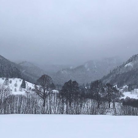 Forest Apartment-Forest Escape Menzenschwand سانت بلاسين المظهر الخارجي الصورة