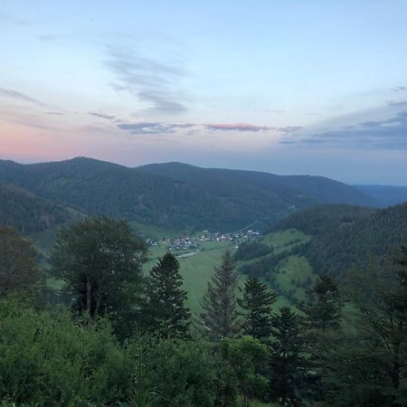 Forest Apartment-Forest Escape Menzenschwand سانت بلاسين المظهر الخارجي الصورة