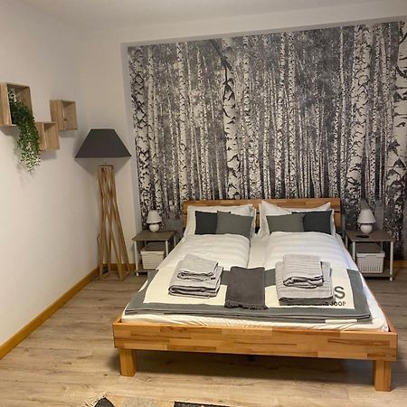 Forest Apartment-Forest Escape Menzenschwand سانت بلاسين المظهر الخارجي الصورة