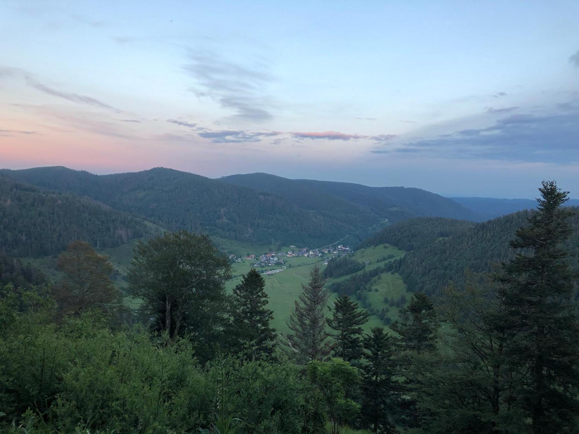 Forest Apartment-Forest Escape Menzenschwand سانت بلاسين المظهر الخارجي الصورة