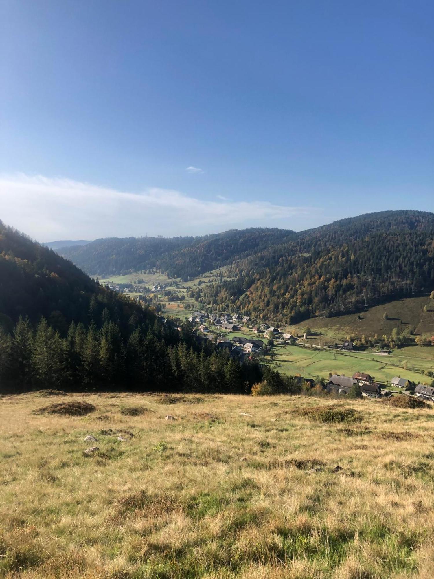 Forest Apartment-Forest Escape Menzenschwand سانت بلاسين المظهر الخارجي الصورة