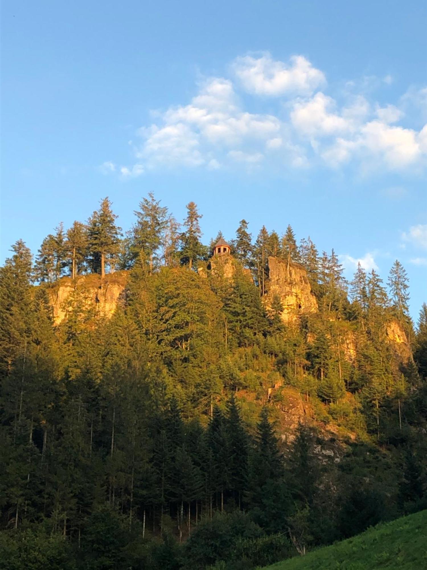 Forest Apartment-Forest Escape Menzenschwand سانت بلاسين المظهر الخارجي الصورة