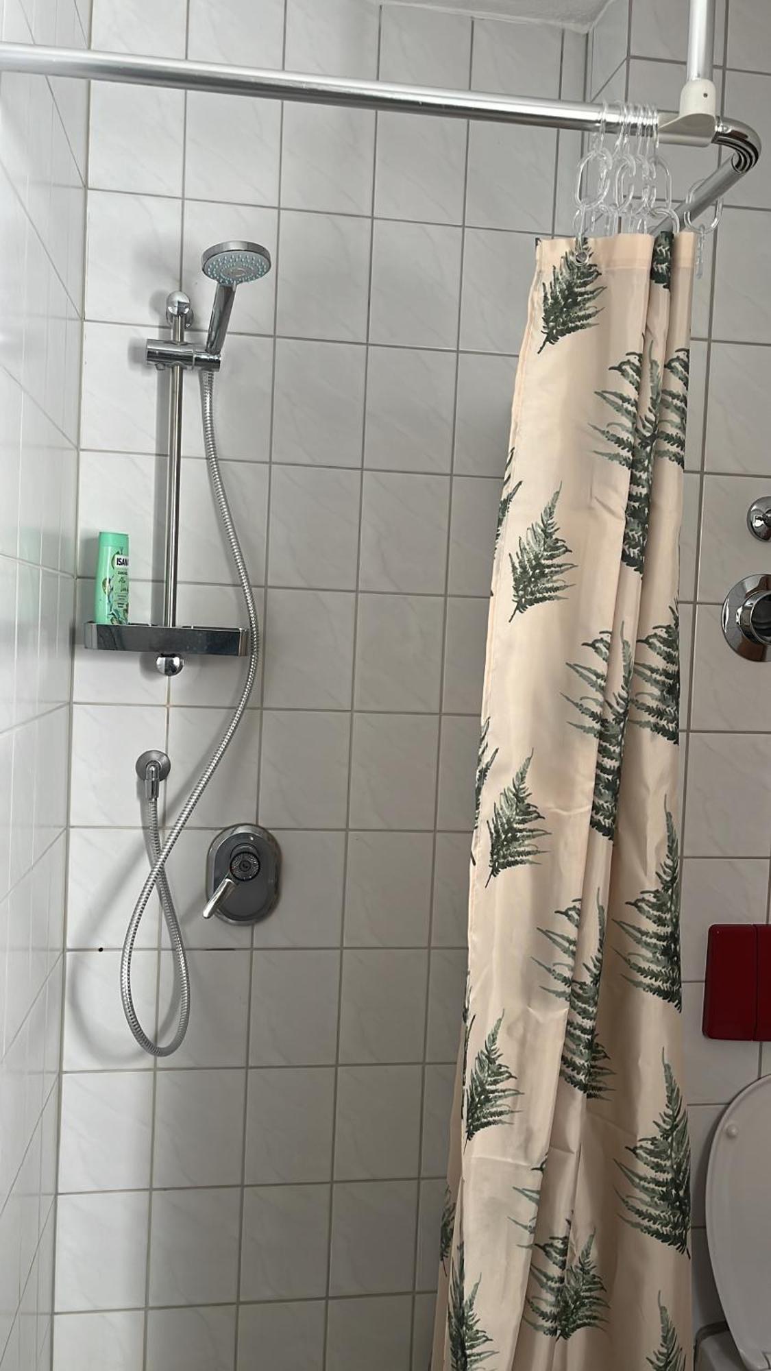 Forest Apartment-Forest Escape Menzenschwand سانت بلاسين المظهر الخارجي الصورة