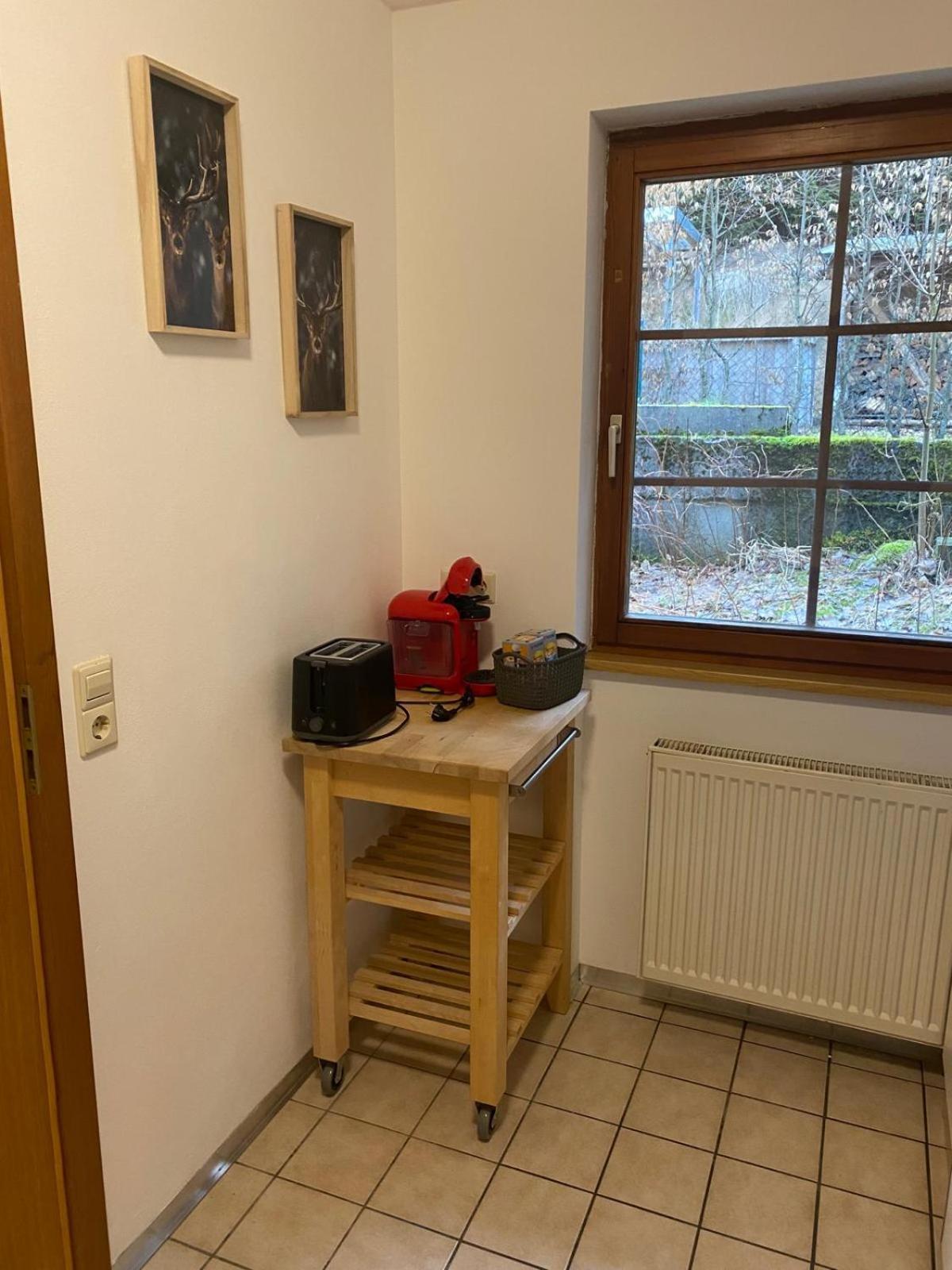 Forest Apartment-Forest Escape Menzenschwand سانت بلاسين المظهر الخارجي الصورة