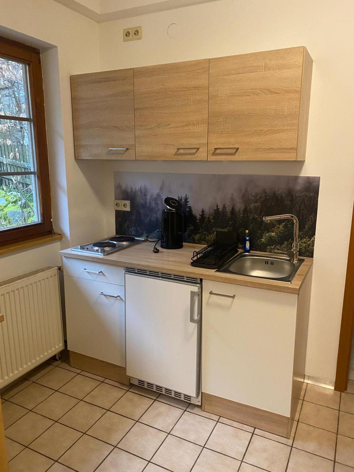 Forest Apartment-Forest Escape Menzenschwand سانت بلاسين المظهر الخارجي الصورة