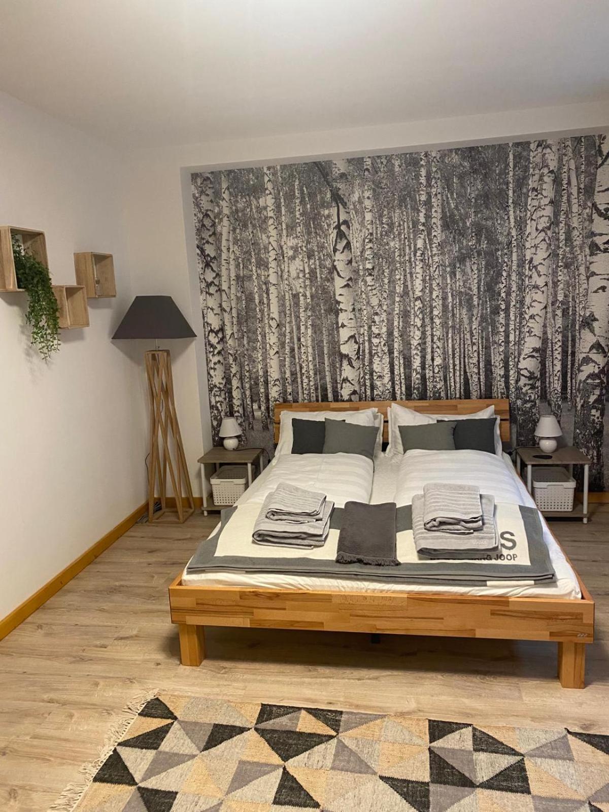 Forest Apartment-Forest Escape Menzenschwand سانت بلاسين المظهر الخارجي الصورة