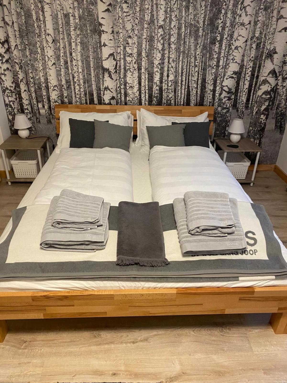 Forest Apartment-Forest Escape Menzenschwand سانت بلاسين المظهر الخارجي الصورة
